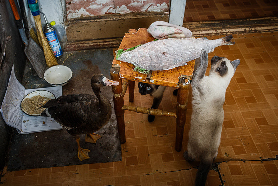 Фото Евгении Жулановой