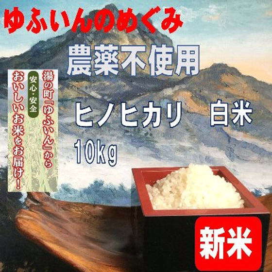 2025年産”ゆふいんのめぐみ