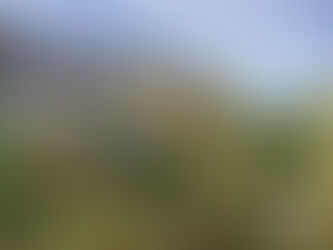 田植えが終わり