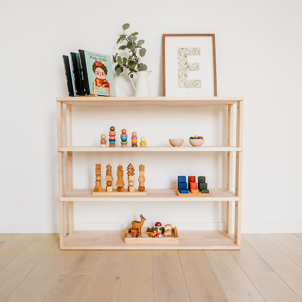 Miniatiūra: Modulinė Montessori lentyna TIESI