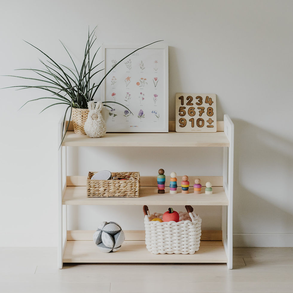 Montessori veiklų lentyna