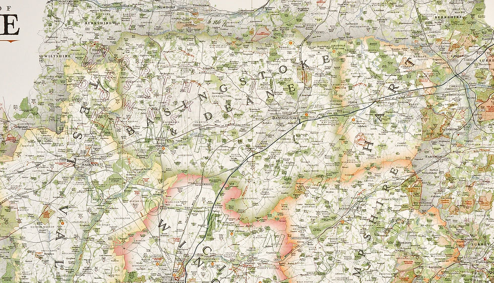 Thumbnail: Hampshire map print