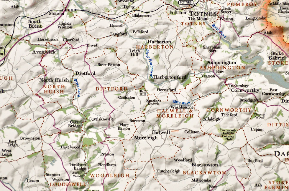 Thumbnail: South Hams Map