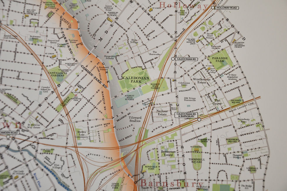 Thumbnail: camden - 'giant' borough map