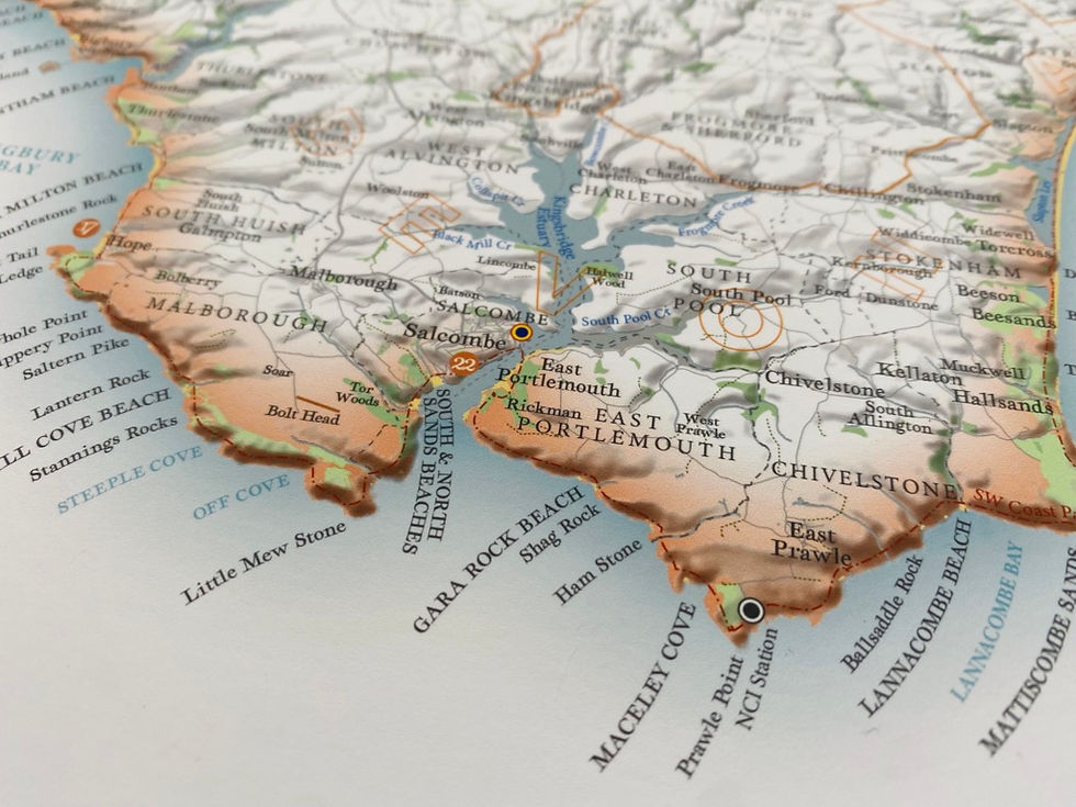 Thumbnail: Beautiful map of South Hams