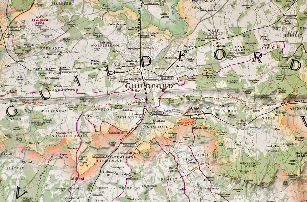 Thumbnail: Surrey Wall Map