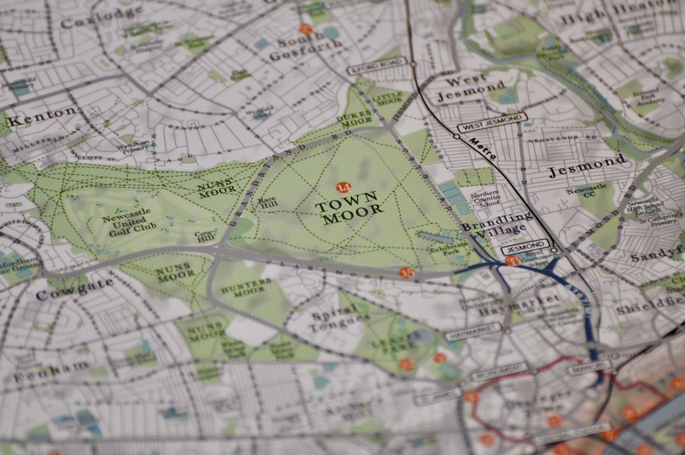 Thumbnail: Wall art Newcastle print