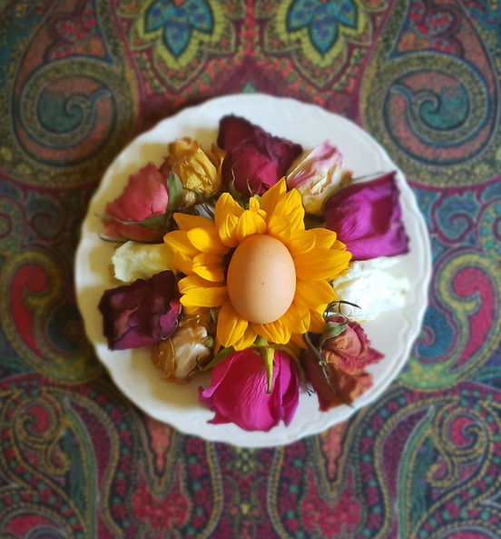 egg business card photo.jpg