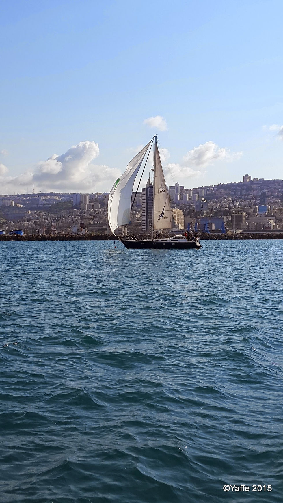 Picasa - 20150313_151435.jpg