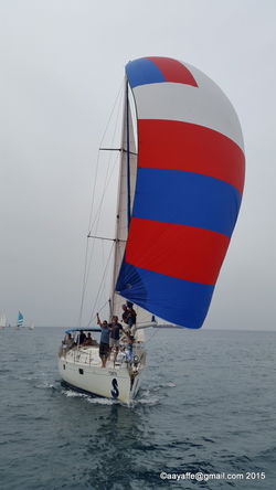 Picasa - 20151023_135527.jpg