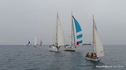 Picasa - 20151023_135818.jpg