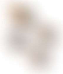 Descoberta histórica: nova espécie de inhambu é registrada na Serra do Divisor, AC