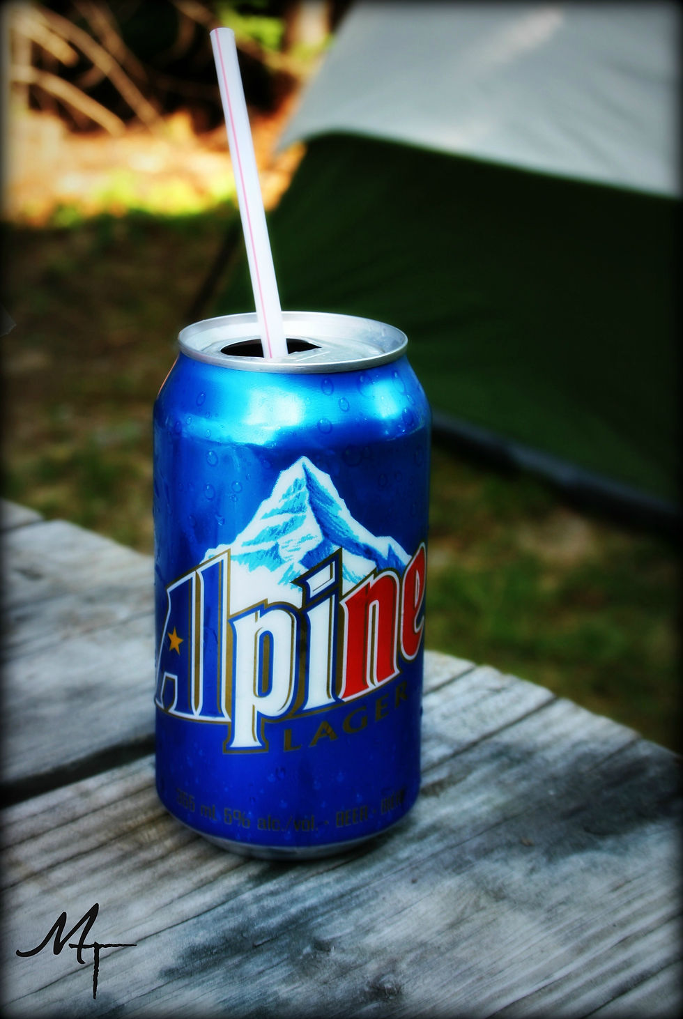 ''Chillaxing'' au Camping du mont