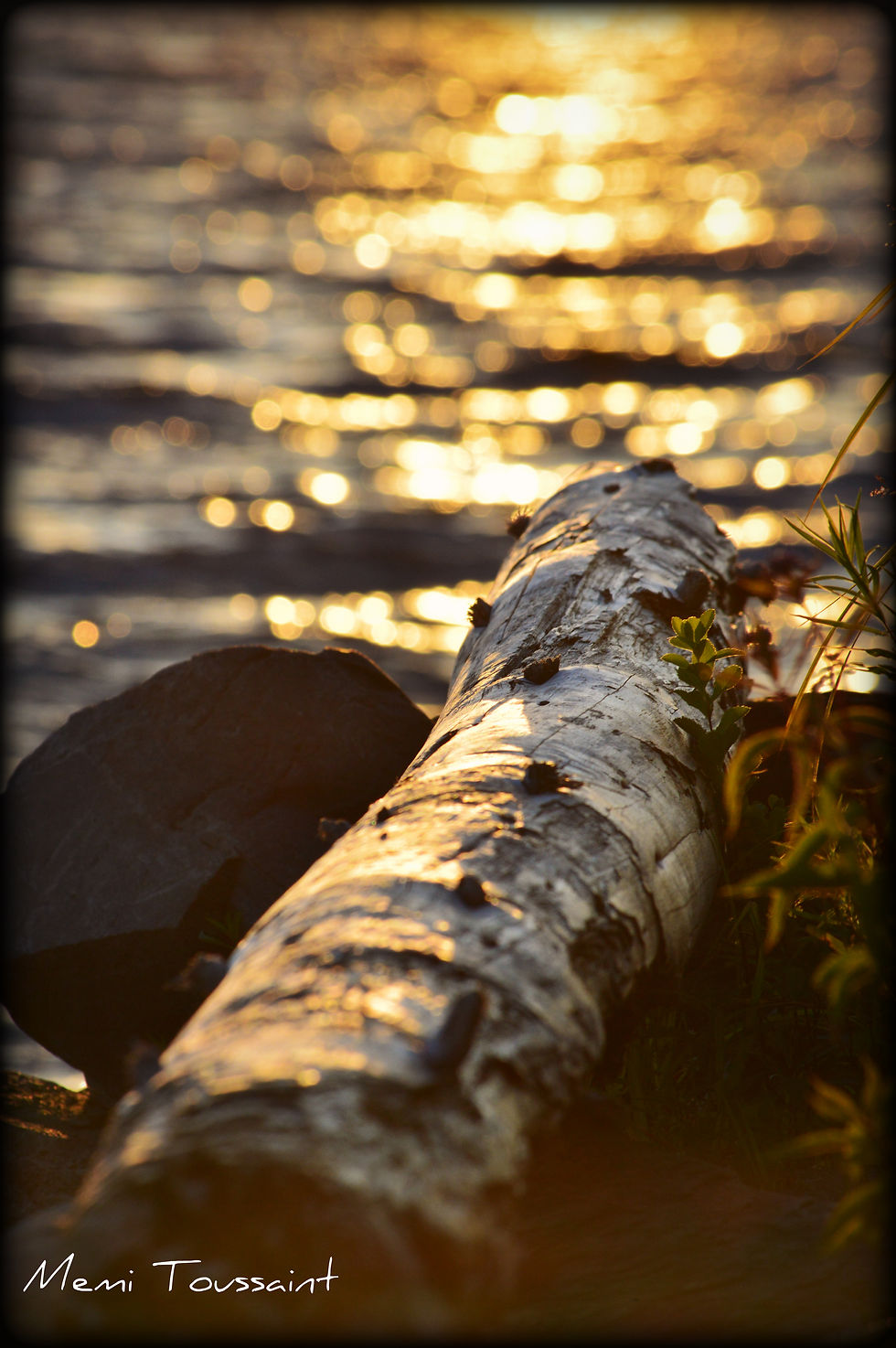 Glazier Lake