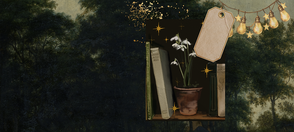 Brianna Images-02.png