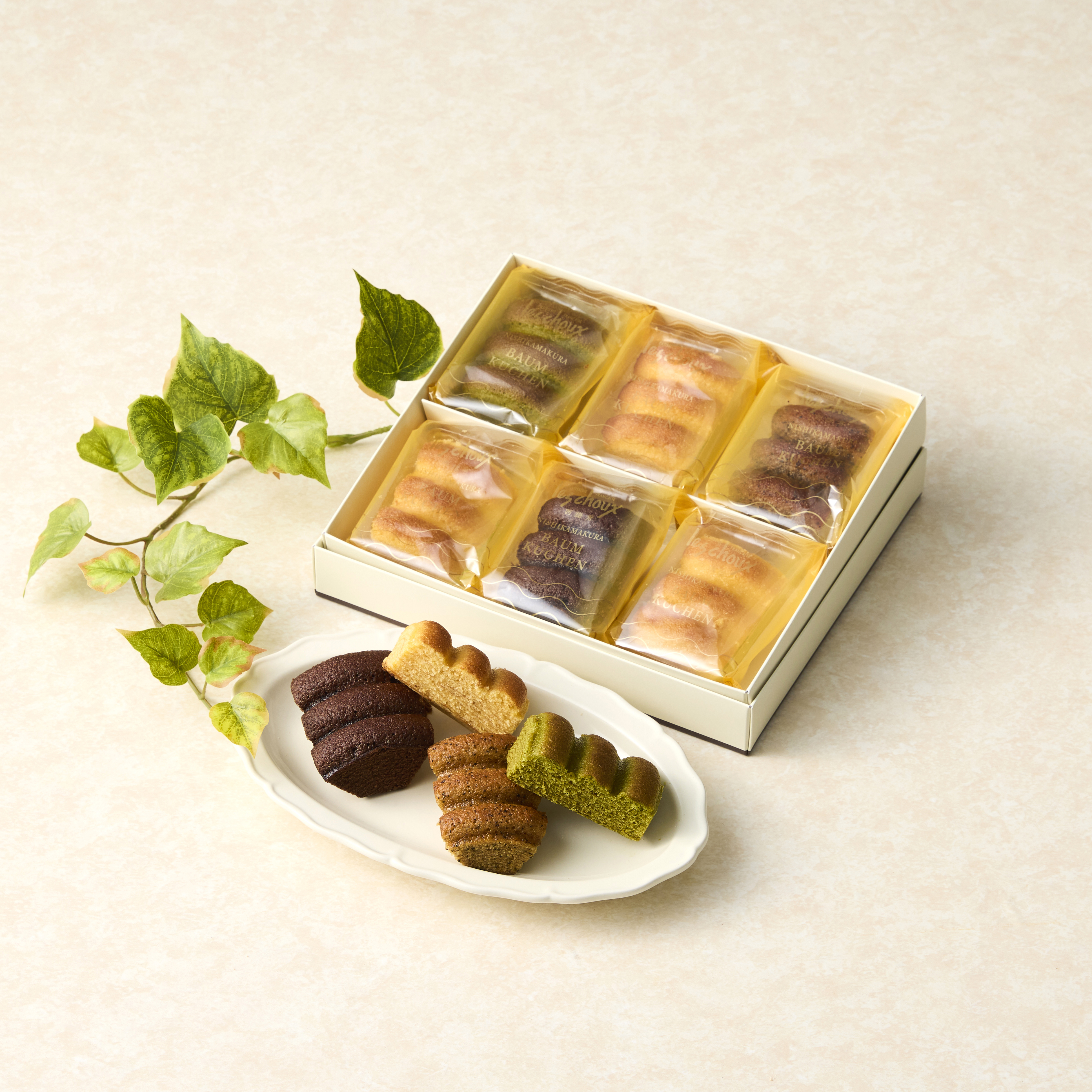 CAKE | Les Choux