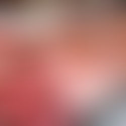 Açougue Zona Norte Lucro R$75 Mil