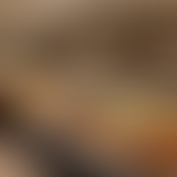 Rotisseria Lucro R$19 Mil Aricanduva