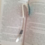 Marque-page Grand Camé Psychédélique Argent vue entière