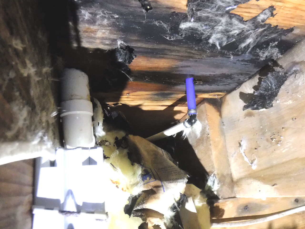 Pipe leak with black mold on surrounding areas, such as subfloors and floor joists affected. 