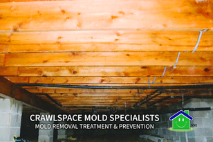 Crawlspace Mold Specialists at the Jersey Shore