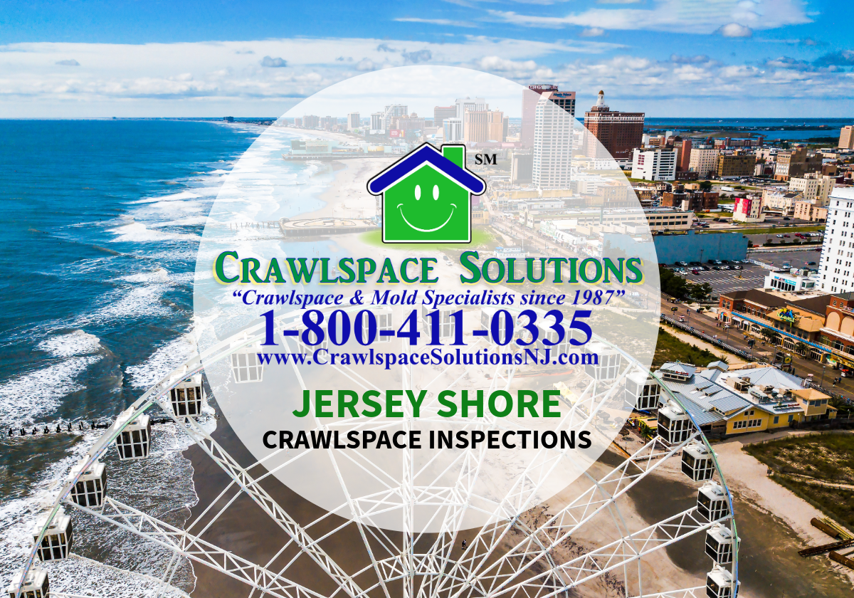 Jersey Shore Inspection Service