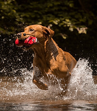 Copyright_Janine Pölzl_Photography_6.jpg