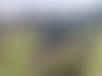 Un jardin qui prend vie : les 6e 4 et 6e 5 au rythme de la permaculture