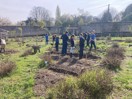 Un jardin qui prend vie : les 6e 4 et 6e 5 au rythme de la permaculture