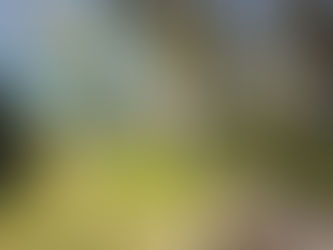 De la solennité à la gourmandise