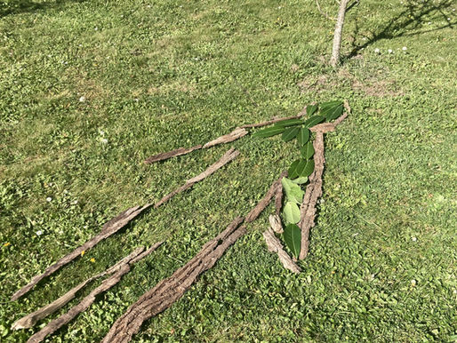 À la découverte de la nature avec les "Arts et langues" : une expérience sensorielle enrichissante