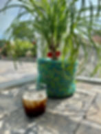 Friday afternoon coffee break with Ozzy, my new potted palm.
