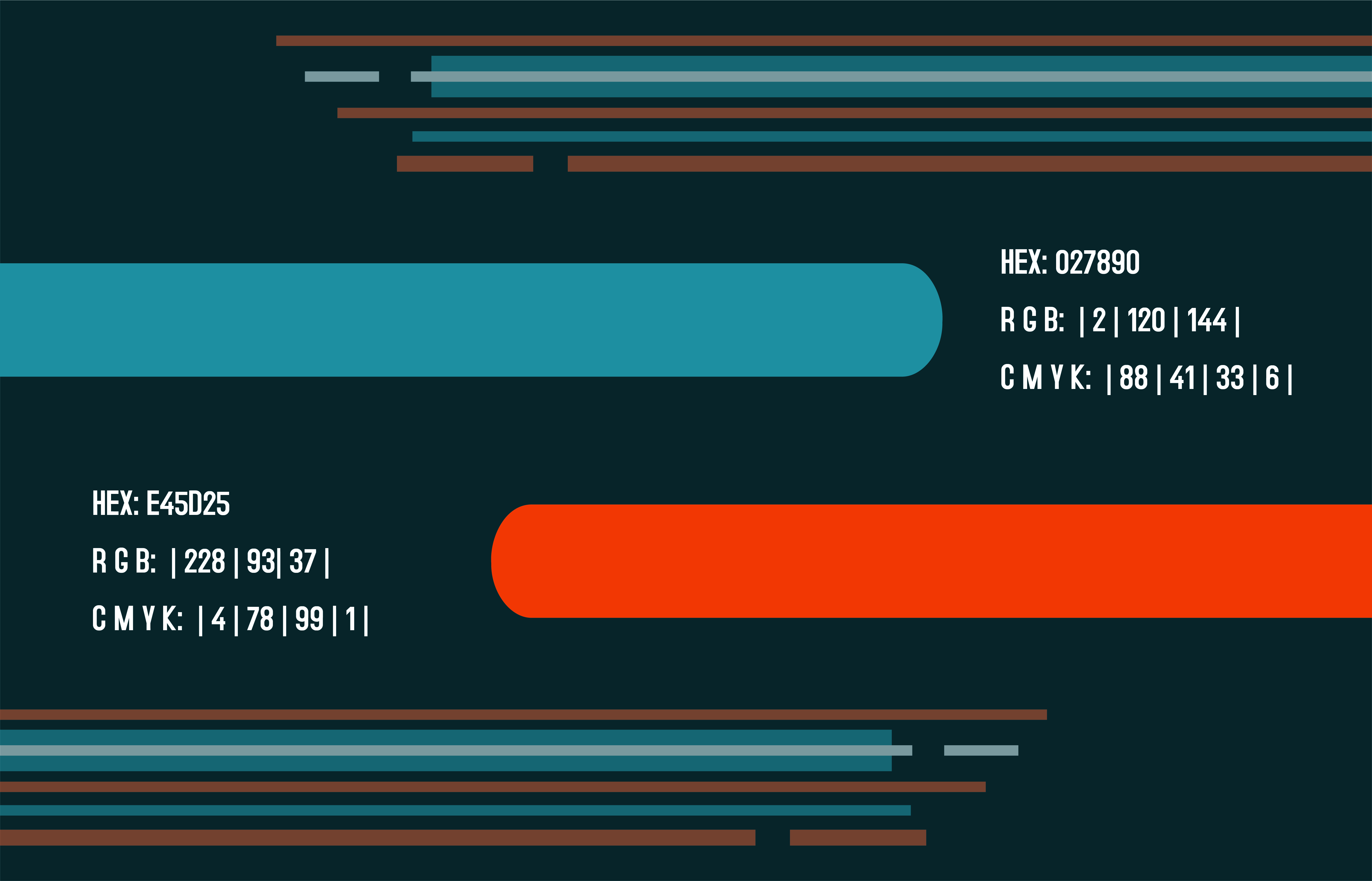 DCW_Branding_Colors.jpg