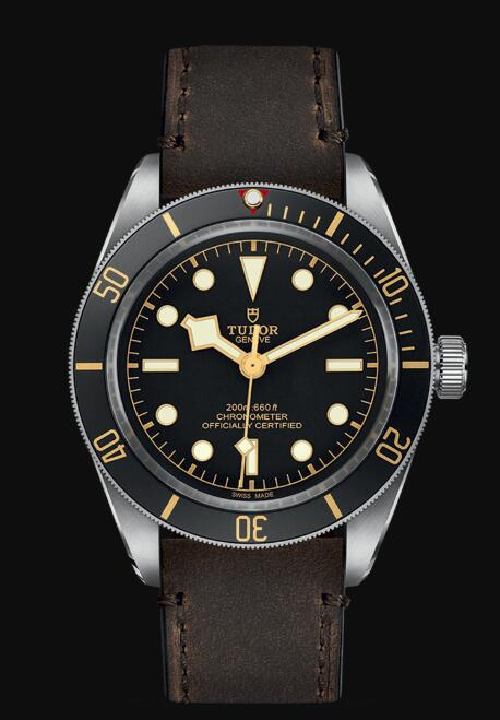 Tudor Black Bay 39 S&G 79673-0007 Replica Watch content media