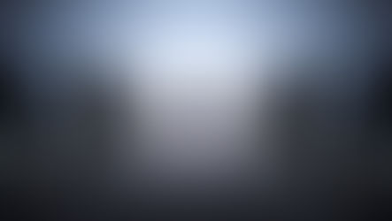 NSHN Now Accepting Applications for Board of Directors