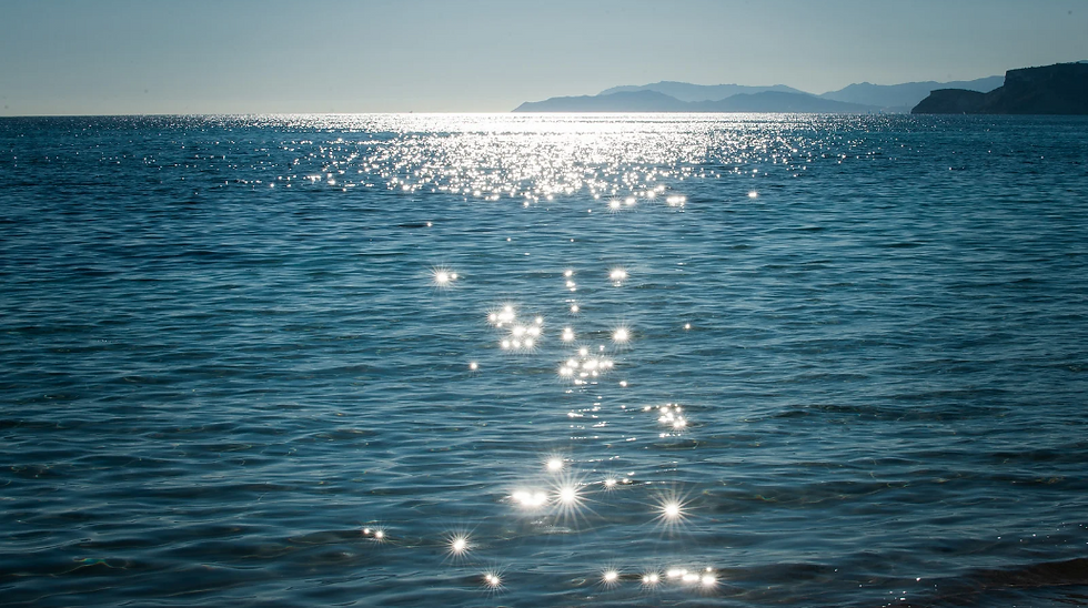 mer.png