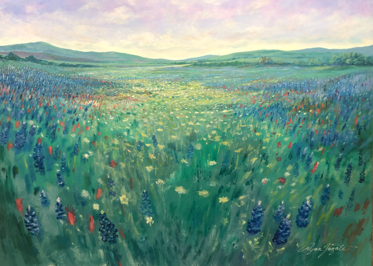 Texas Blue bonnets