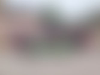 Bienvenido a nuestro blog :)