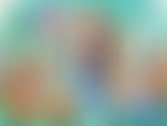 Zofia’s Big American Adventure