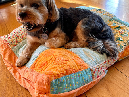 Pet Beds