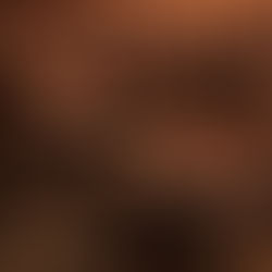 AI image of soldiers pointing guns at emus