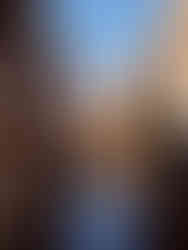 View from King's Bridge