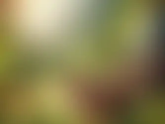 🧠Mindfulness como Herramienta Cotidiana: Integración de la Atención Plena en la Vida Diaria.