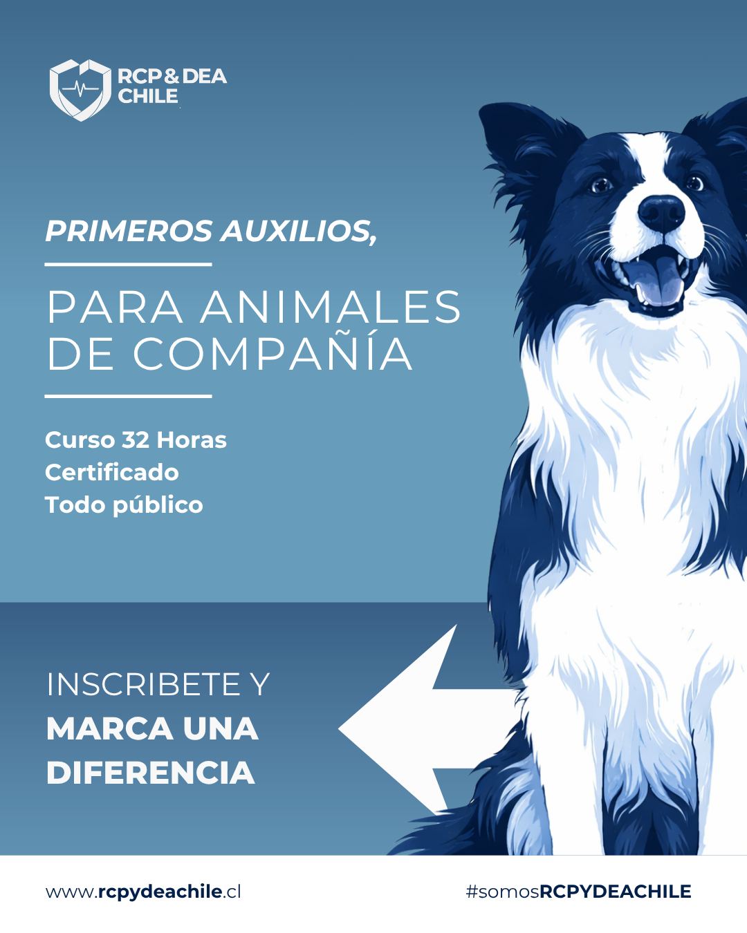 Primeros Auxilios para Animales de Compañía