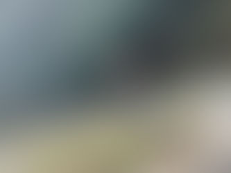 神山工場、精鋭（？）メンバーで「春の草刈り」をおこないました｜2026年3月28日（土）