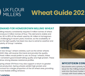 Press release: UK Flour Millers published the online Wheat Guide 2025