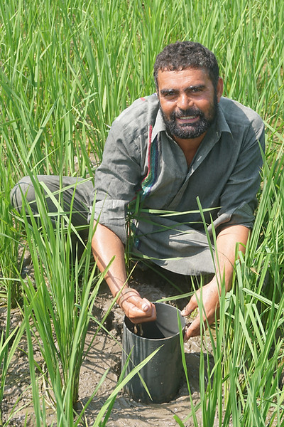 Installation of AWD tube in Field - high quality- Westmill.JPG