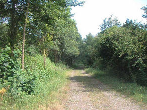 "RDV rando" sur le sentier "Le Carlaret - Ludiès"