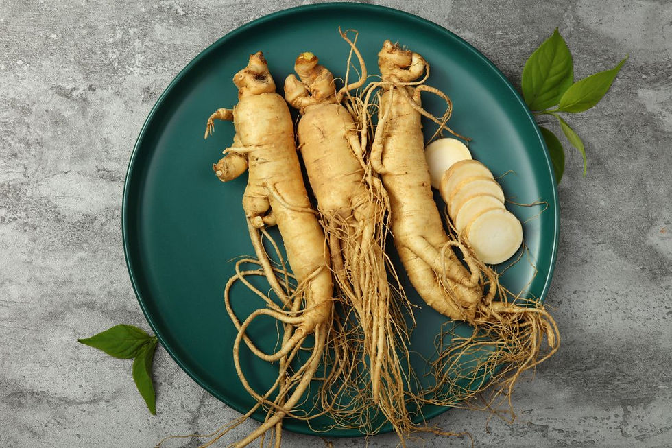 Le ginseng, une panacée de la pharmacopée chinoise