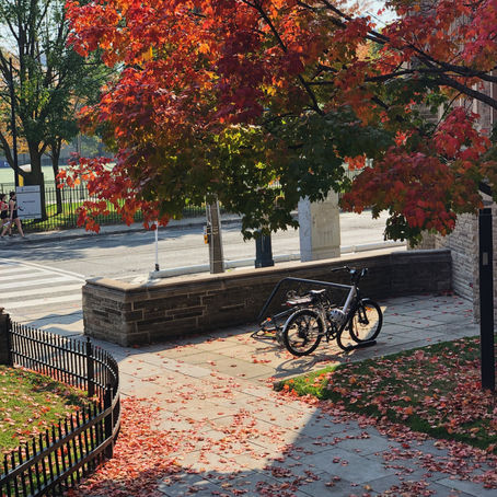 A First Look at Fall CCI Classes